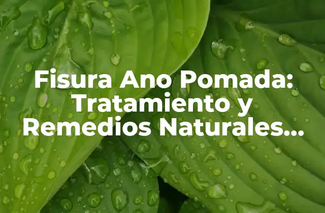 Fisura Ano Pomada: Tratamiento y Remedios Naturales para el Alivio Del Dolor
