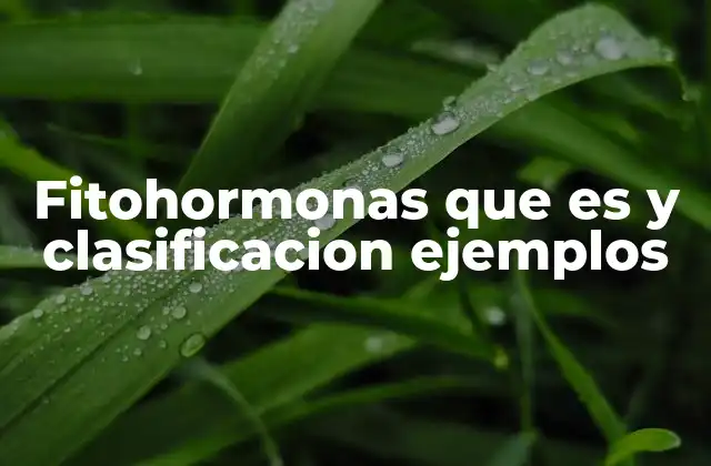 Fitohormonas que es y Clasificacion Ejemplos
