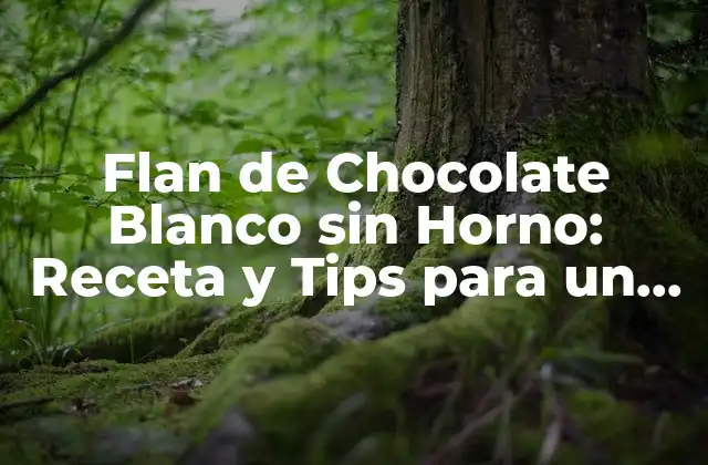 Flan de Chocolate Blanco sin Horno: Receta y Tips para un Postre Exquisito 2 Ingredientes y Herramientas Necesarias para Preparar el Flan de Chocolate Blanco sin Horno