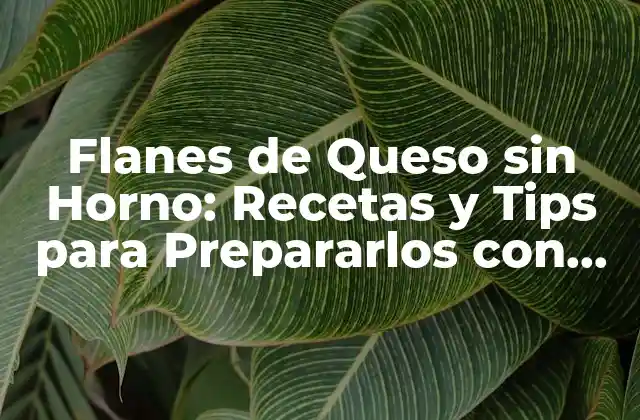 Flanes de Queso sin Horno: Recetas y Tips para Prepararlos con Éxito