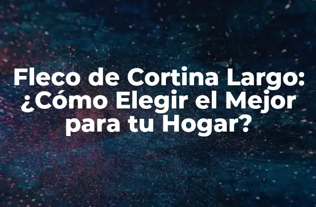 Fleco de Cortina Largo: ¿cómo Elegir el Mejor para Tu Hogar?