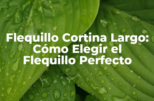 Flequillo Cortina Largo: Cómo Elegir el Flequillo Perfecto