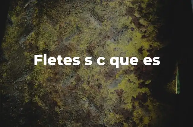 Fletes S C que es