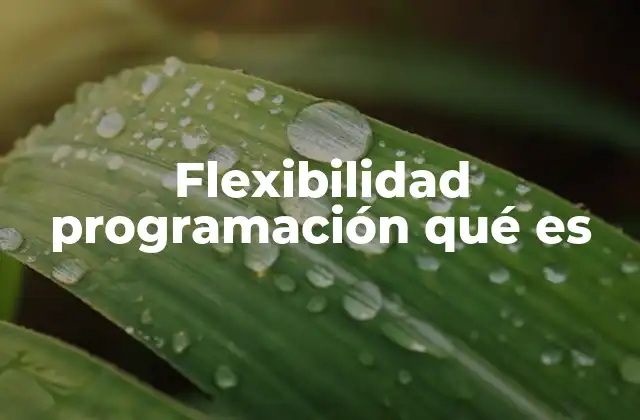 Flexibilidad Programación Qué es