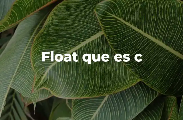 Float que es C