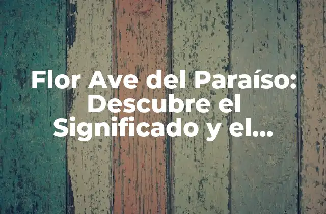 Flor Ave Del Paraíso: Descubre el Significado y el Cuidado de Esta Especie Exótica