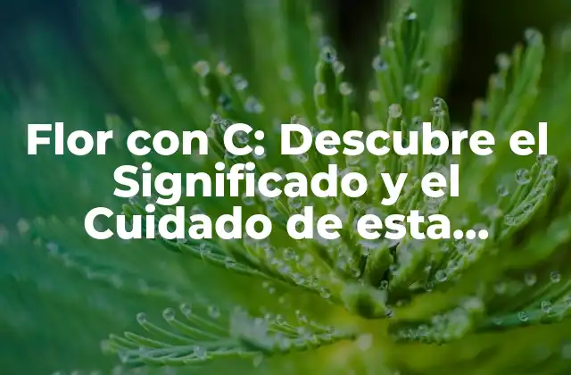 Flor con C: Descubre el Significado y el Cuidado de Esta Hermosa Planta