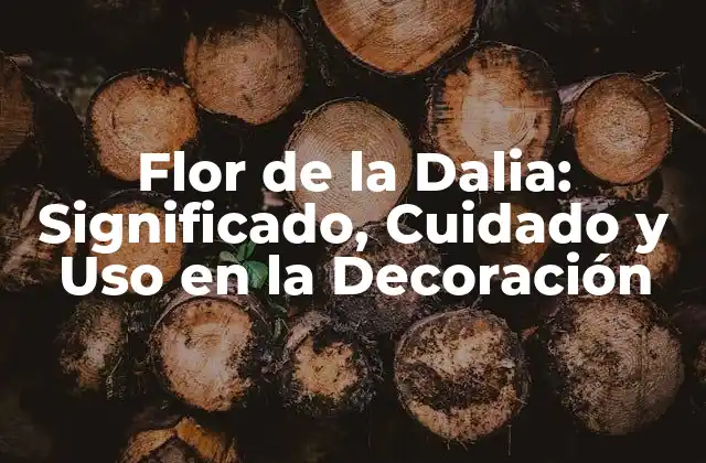 Flor de la Dalia: Significado, Cuidado y Uso en la Decoración