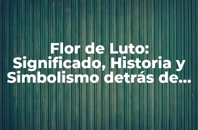 Flor de Luto: Significado, Historia y Simbolismo Detrás de Esta Hermosa Flor