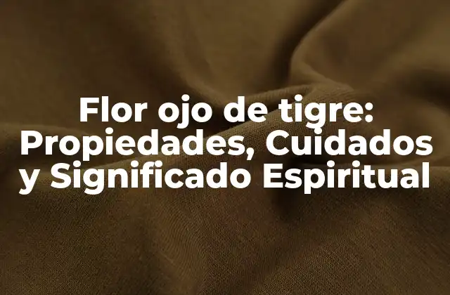 Flor Ojo de Tigre: Propiedades, Cuidados y Significado Espiritual