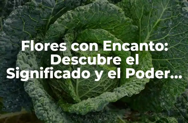Flores con Encanto: Descubre el Significado y el Poder de las Flores con e