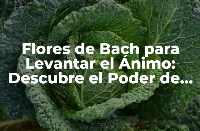 Flores de Bach para Levantar el Ánimo: Descubre el Poder de la Terapia Floral