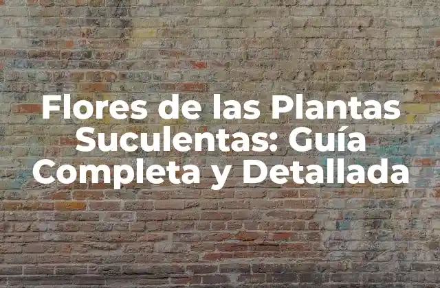 Flores de las Plantas Suculentas: Guía Completa y Detallada