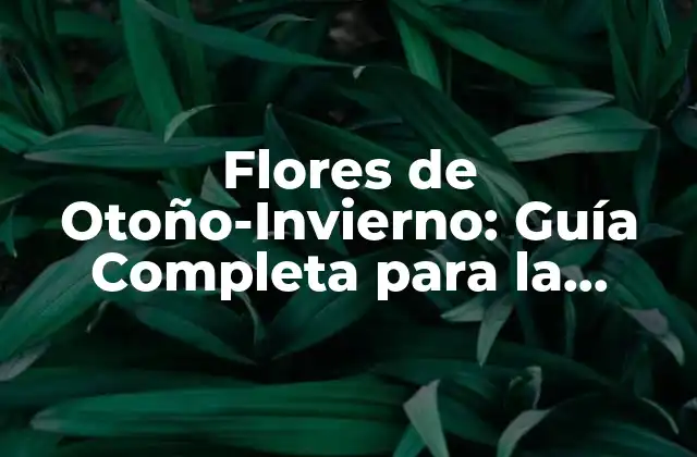 Flores de Otoño-invierno: Guía Completa para la Temporada