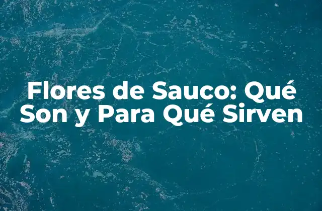 ¿Qué Son las Flores de Sauco?