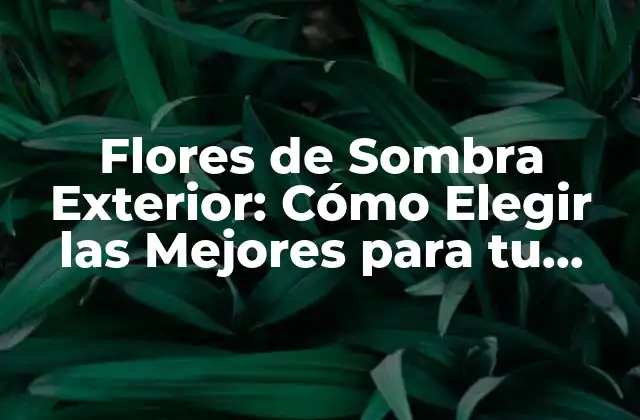 Flores de Sombra Exterior: Cómo Elegir las Mejores para Tu Jardín