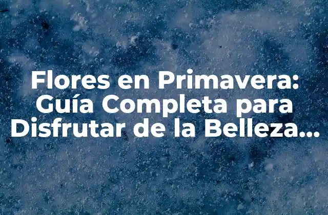Flores en Primavera: Guía Completa para Disfrutar de la Belleza de la Estación