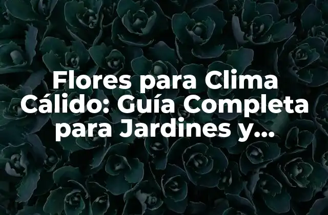 Flores para Clima Cálido: Guía Completa para Jardines y Decoración