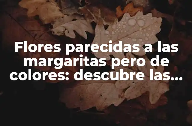 Flores Parecidas a las Margaritas pero de Colores: Descubre las Opciones Más Hermosas