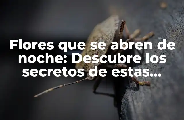 Flores que Se Abren de Noche: Descubre los Secretos de Estas Plantas Nocturnas