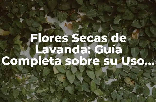 Flores Secas de Lavanda: Guía Completa sobre Su Uso, Beneficios y Significado