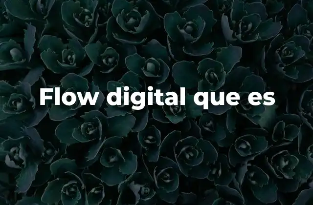 Flow Digital que es