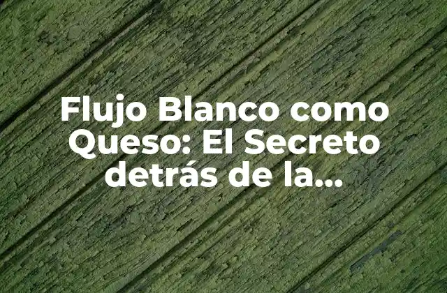 Flujo Blanco como Queso: el Secreto Detrás de la Producción de Quesos Blancos