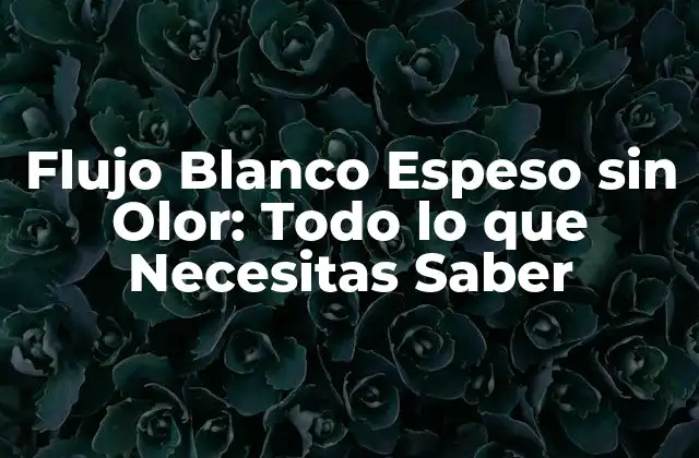 Flujo Blanco Espeso sin Olor: Todo Lo que Necesitas Saber