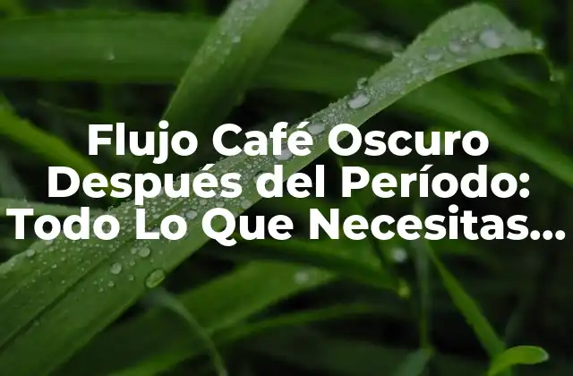 Flujo Café Oscuro Después Del Período: Todo Lo que Necesitas Saber