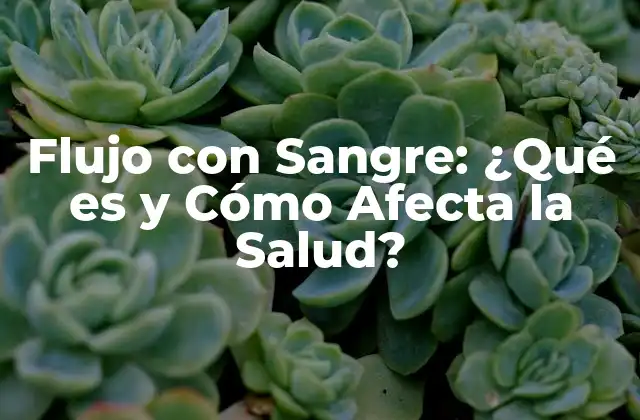 Flujo con Sangre: ¿qué es y Cómo Afecta la Salud?