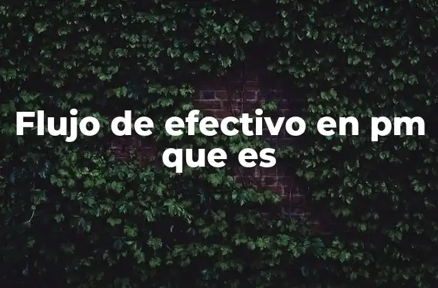 La importancia del flujo de efectivo en la ejecución de proyectos