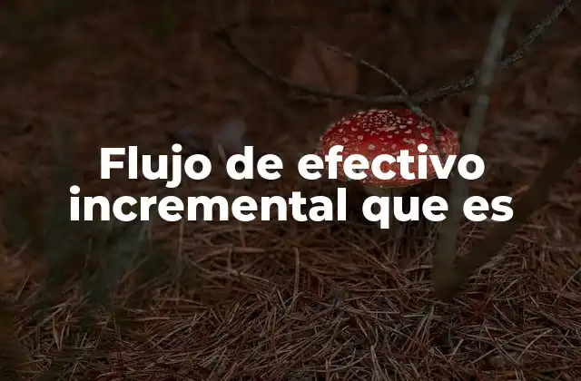 Flujo de Efectivo Incremental que es