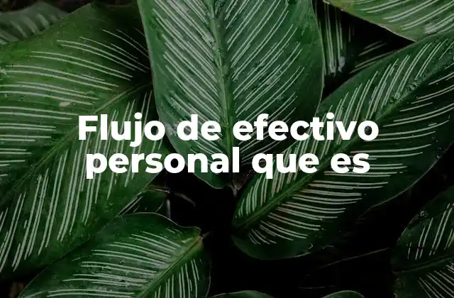 Flujo de Efectivo Personal que es
