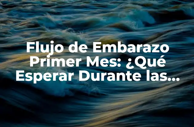 Flujo de Embarazo Primer Mes: ¿qué Esperar durante las Primeras 4 Semanas?
