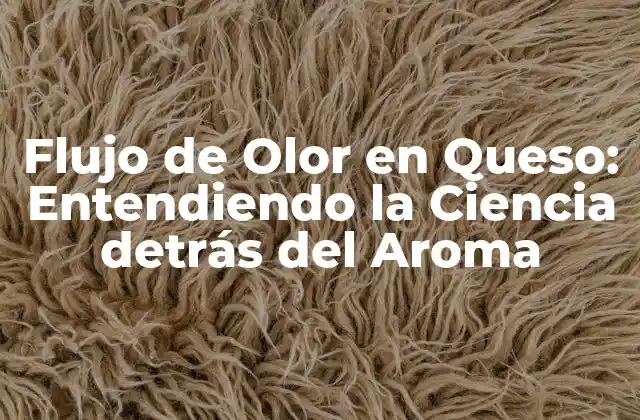 Flujo de Olor en Queso: Entendiendo la Ciencia Detrás Del Aroma