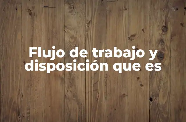 Flujo de Trabajo y Disposición que es