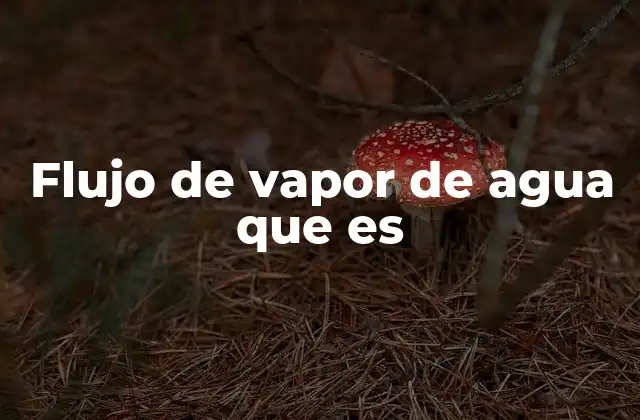 Flujo de Vapor de Agua que es