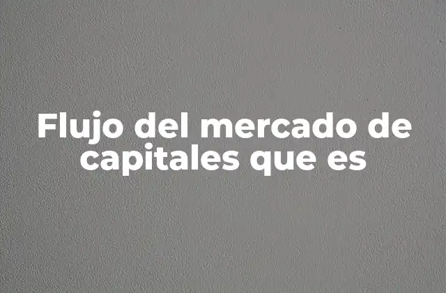 Flujo Del Mercado de Capitales que es