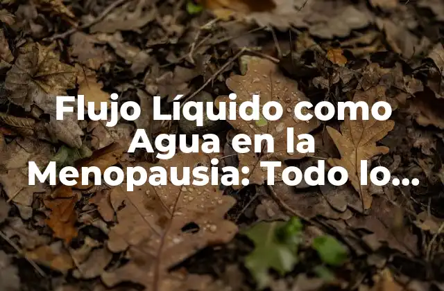Flujo Líquido como Agua en la Menopausia: Todo Lo que Necesitas Saber