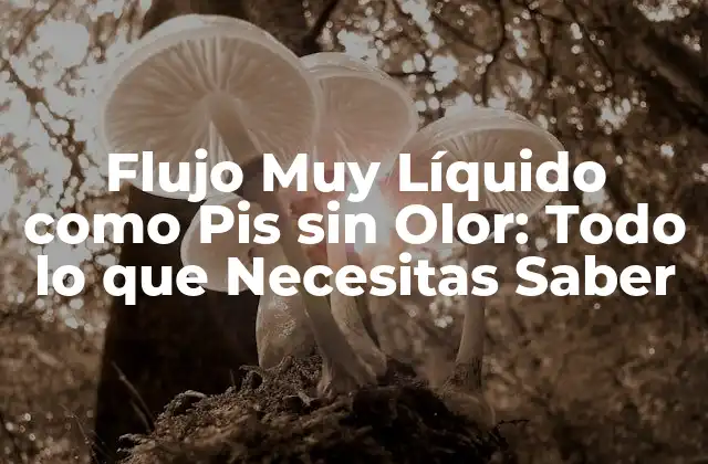 Flujo Muy Líquido como Pis sin Olor: Todo Lo que Necesitas Saber