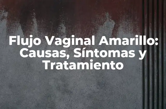 Flujo Vaginal Amarillo: Causas, Síntomas y Tratamiento 2 Causas del Flujo Vaginal Amarillo