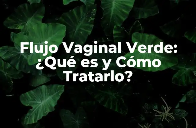 Flujo Vaginal Verde: ¿qué es y Cómo Tratarlo? 2 ¿Qué es el Flujo Vaginal Verde?