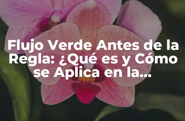 Flujo Verde Antes de la Regla: ¿qué es y Cómo Se Aplica en la Edificación Sostenible?