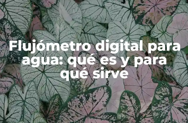 Flujómetro Digital para Agua: Qué es y para Qué Sirve 2 Aplicaciones del flujómetro digital en el control de agua potable