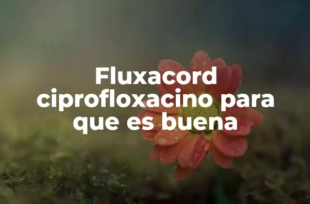 Cómo actúa el ciprofloxacino en el organismo