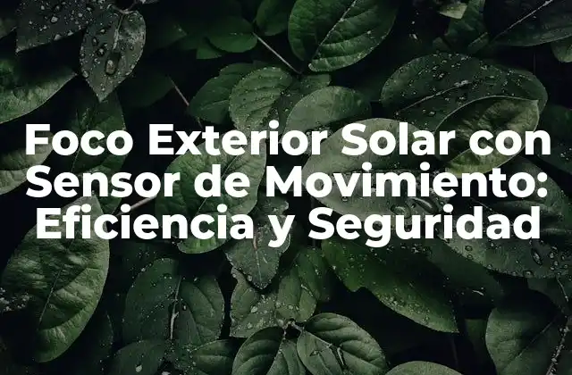 Foco Exterior Solar con Sensor de Movimiento: Eficiencia y Seguridad