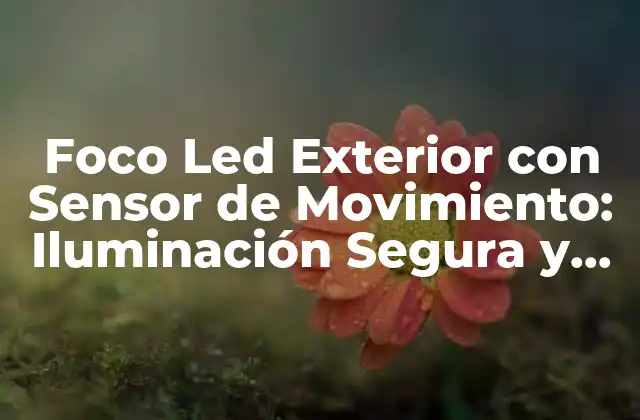 Foco Led Exterior con Sensor de Movimiento: Iluminación Segura y Eficiente