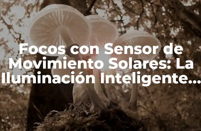 Focos con Sensor de Movimiento Solares: la Iluminación Inteligente Del Futuro