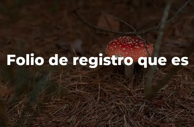 Folio de Registro que es