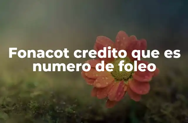 Fonacot Credito que es Numero de Foleo